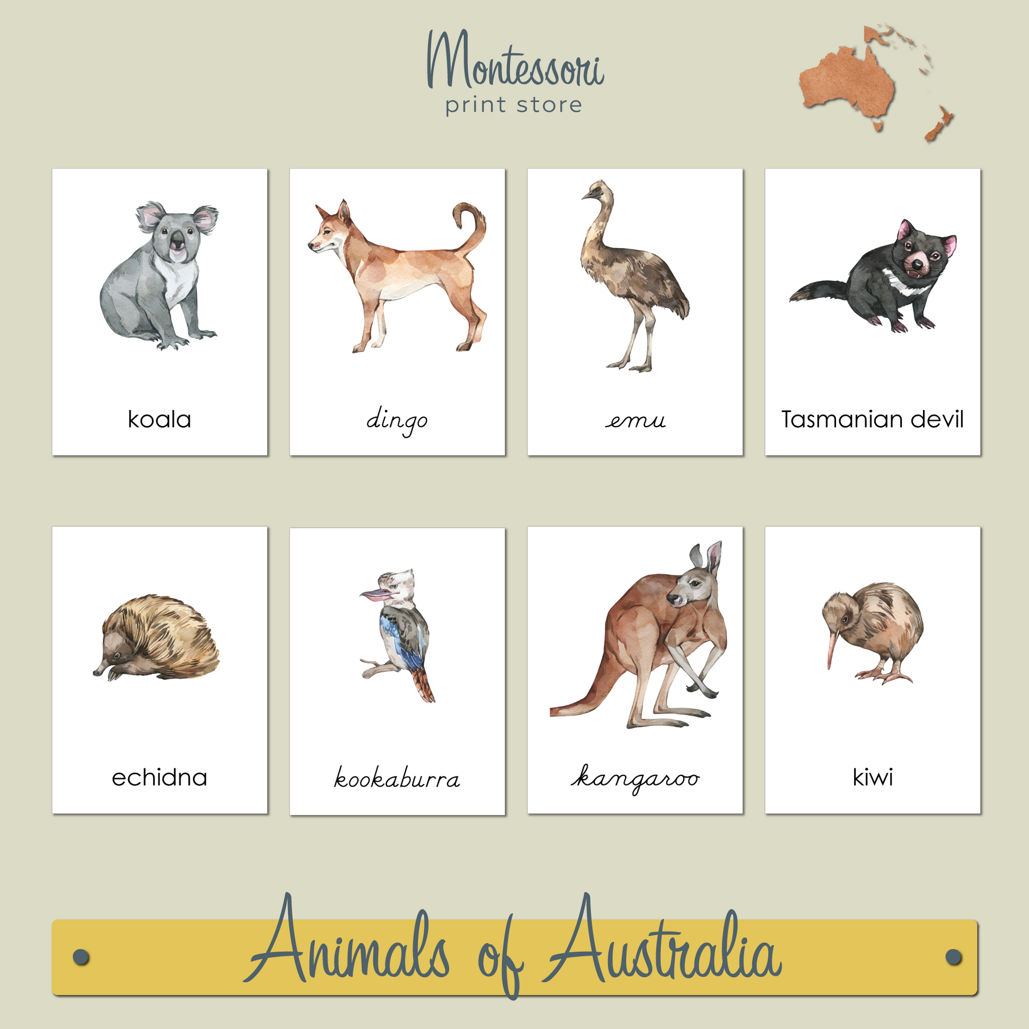 ANIMALS OF AUSTRALIA  3-PART CARDS - MONTESSORI NOMENCLATURE CARDS