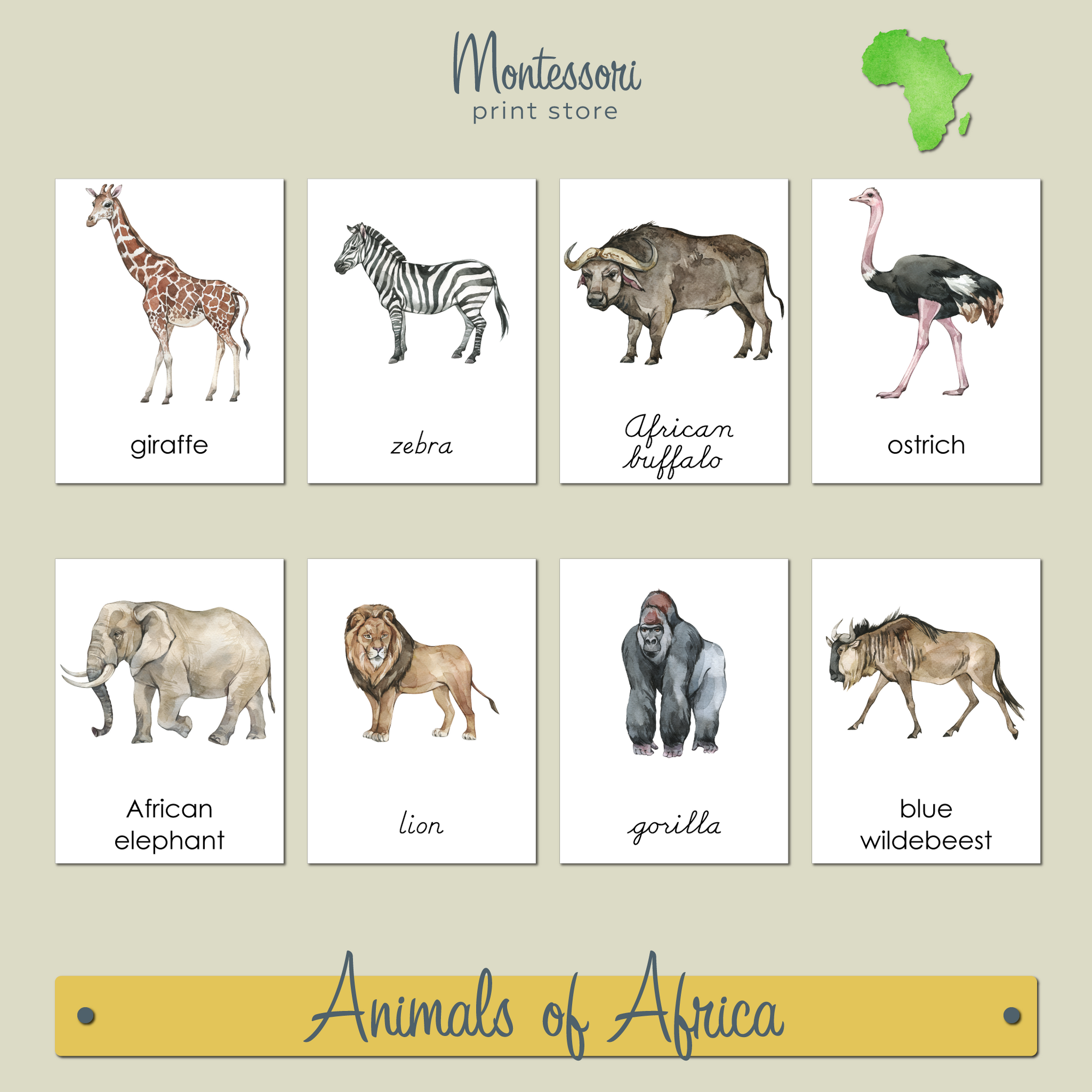 ANIMALS OF AFRICA  3-PART CARDS - MONTESSORI NOMENCLATURE CARDS