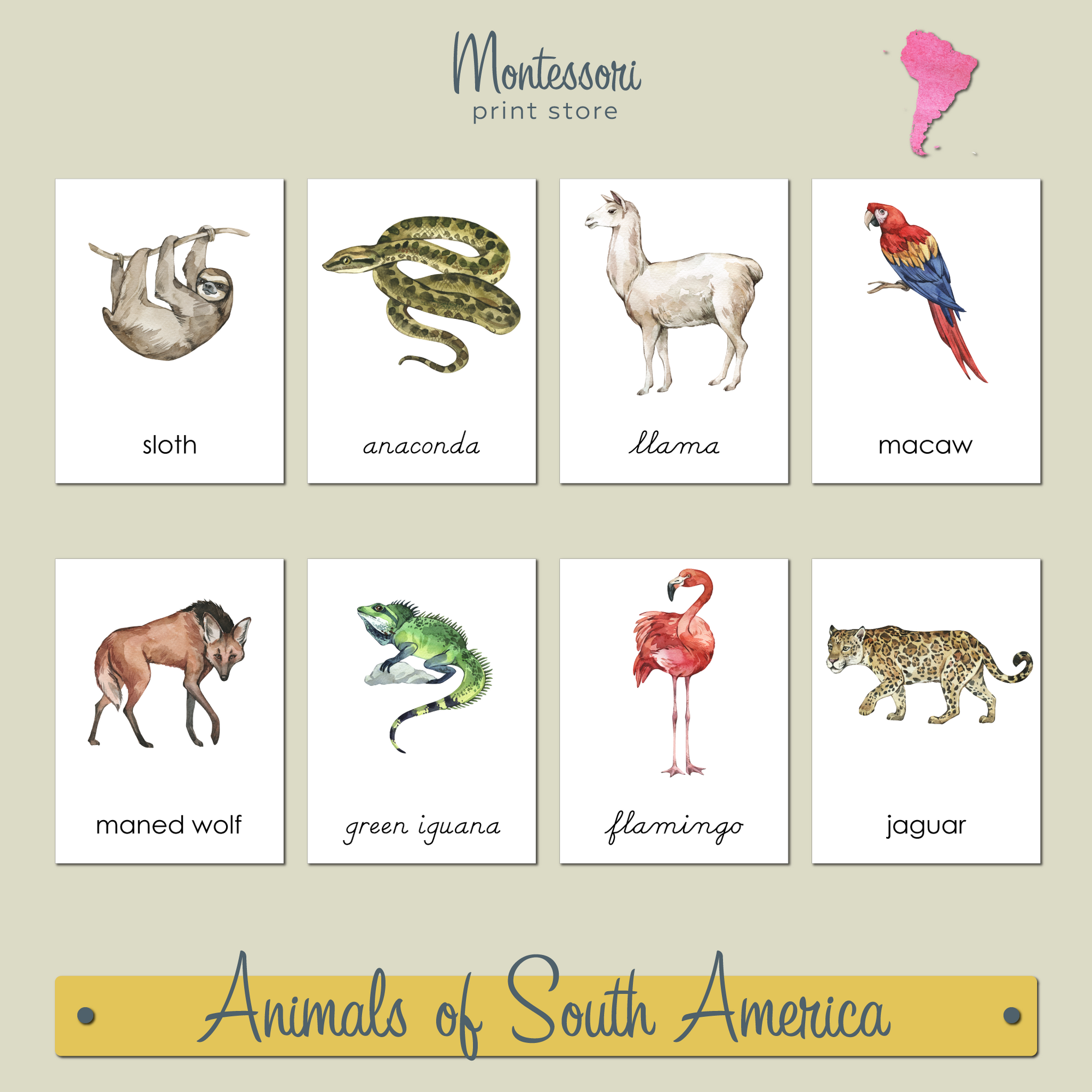 ANIMALS OF SOUTH AMERICA  3-PART CARDS - MONTESSORI NOMENCLATURE CARDS