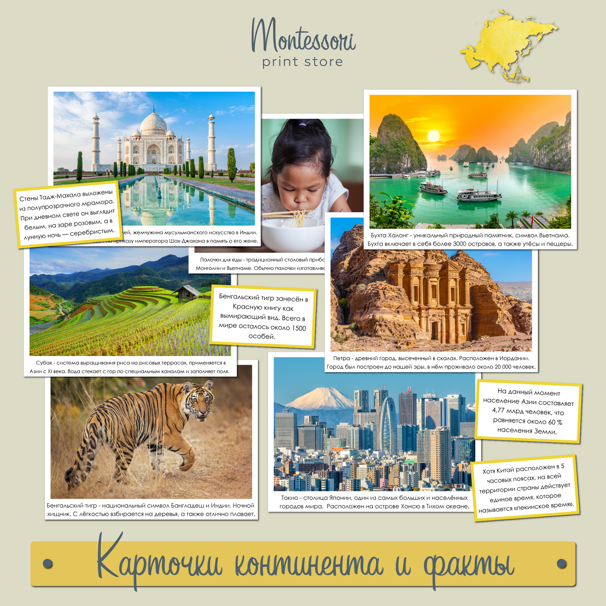 Карточки континента и факты Азия - карточки Монтессори купить и скачать