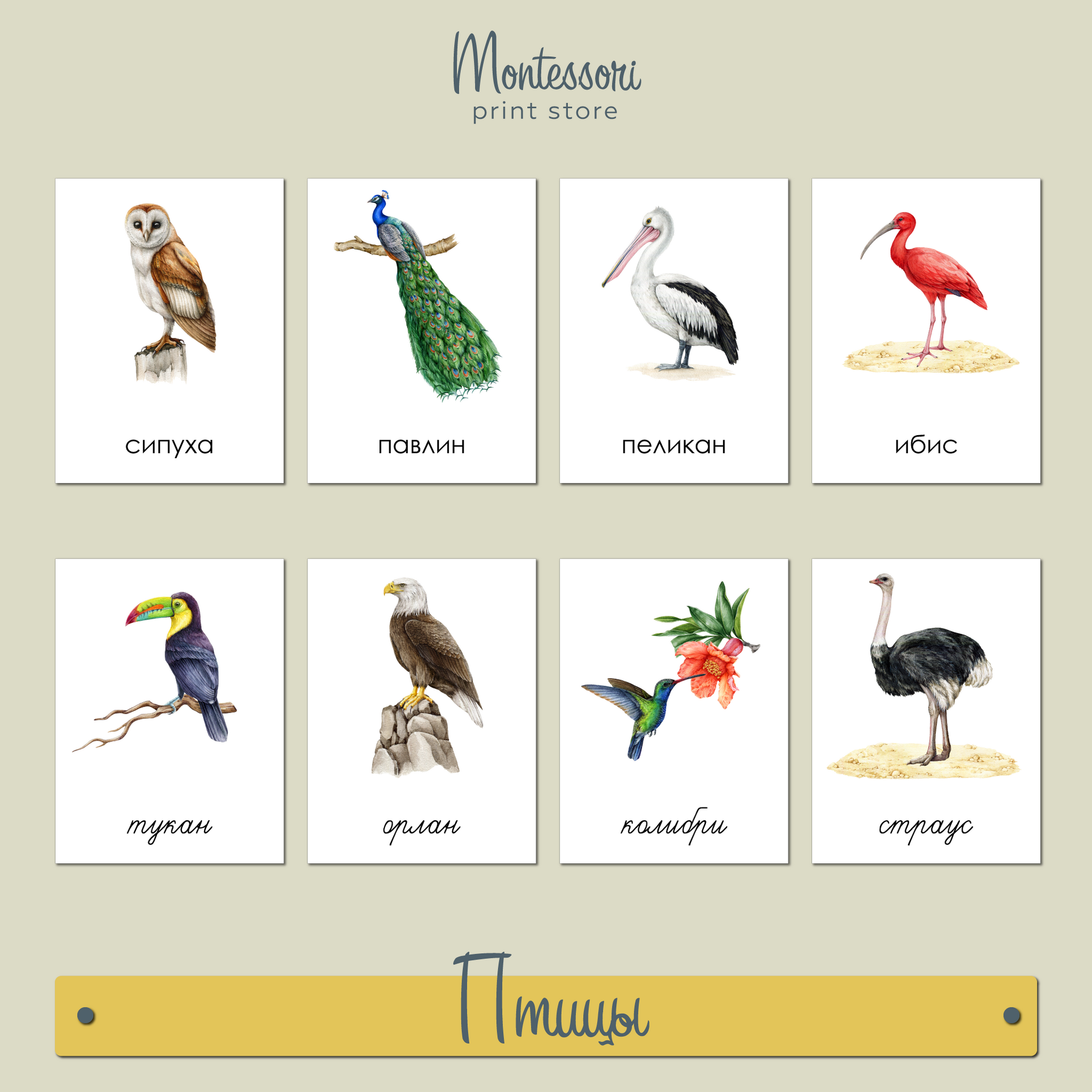 Птицы - трехчастные карточки Монтессори купить и скачать
