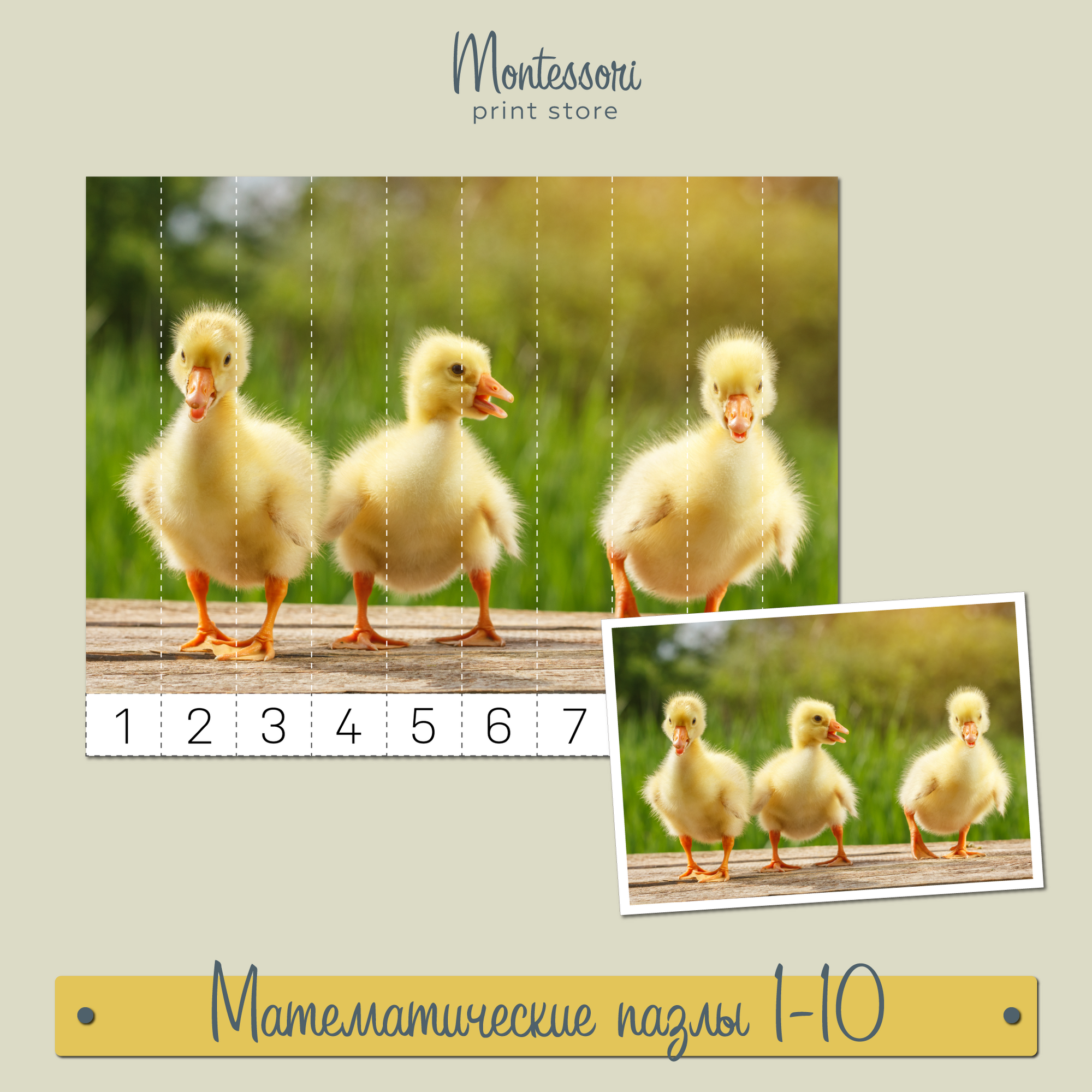 Домашние животные математические пазлы 1-10 - Математика Монтессори купить и скачать