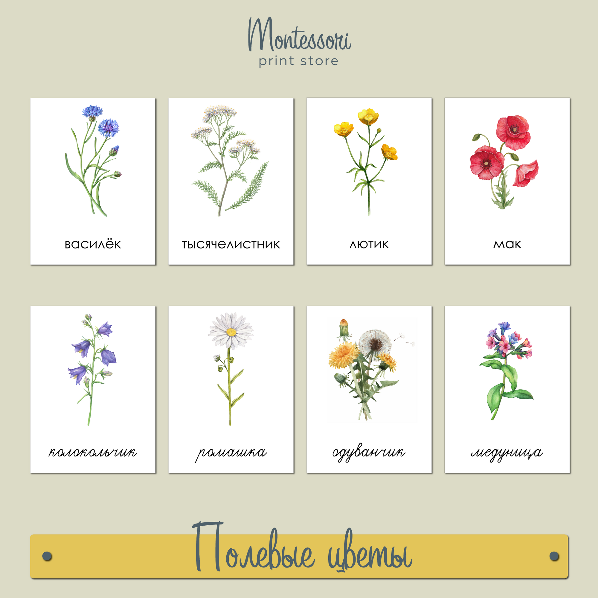 Полевые цветы - трехчастные карточки Монтессори купить и скачать
