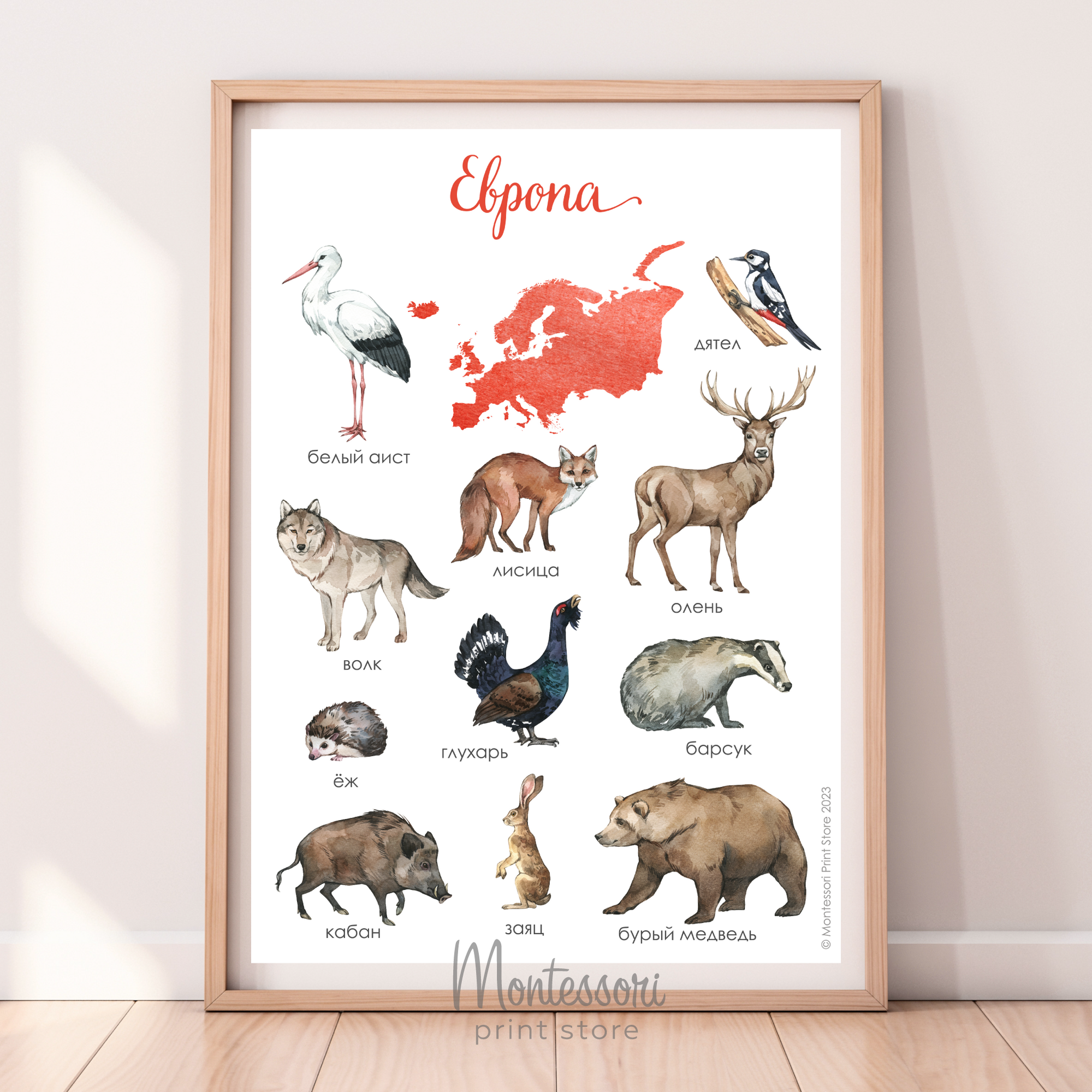 Постер Животные Европы - купить и скачать