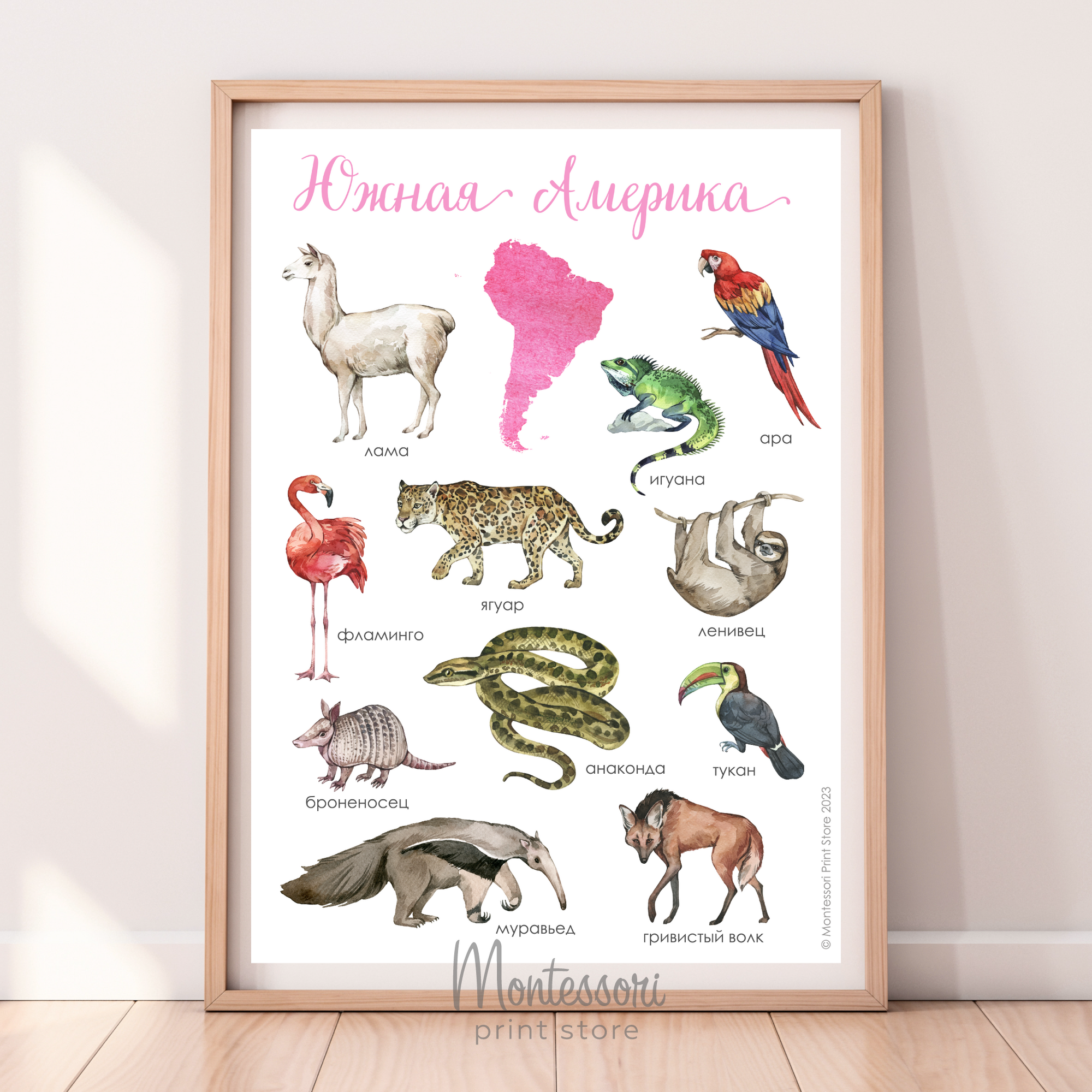Постер Животные Южной Америки - купить и скачать