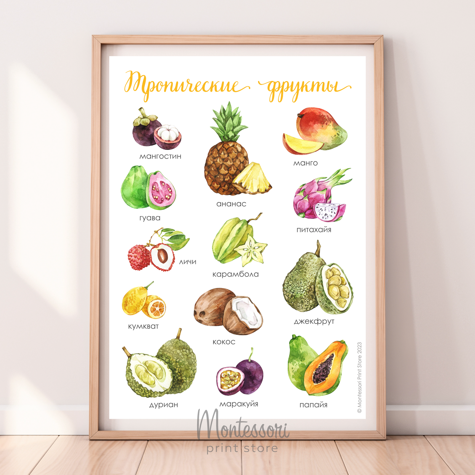 Постер Экзотические фрукты - купить и скачать