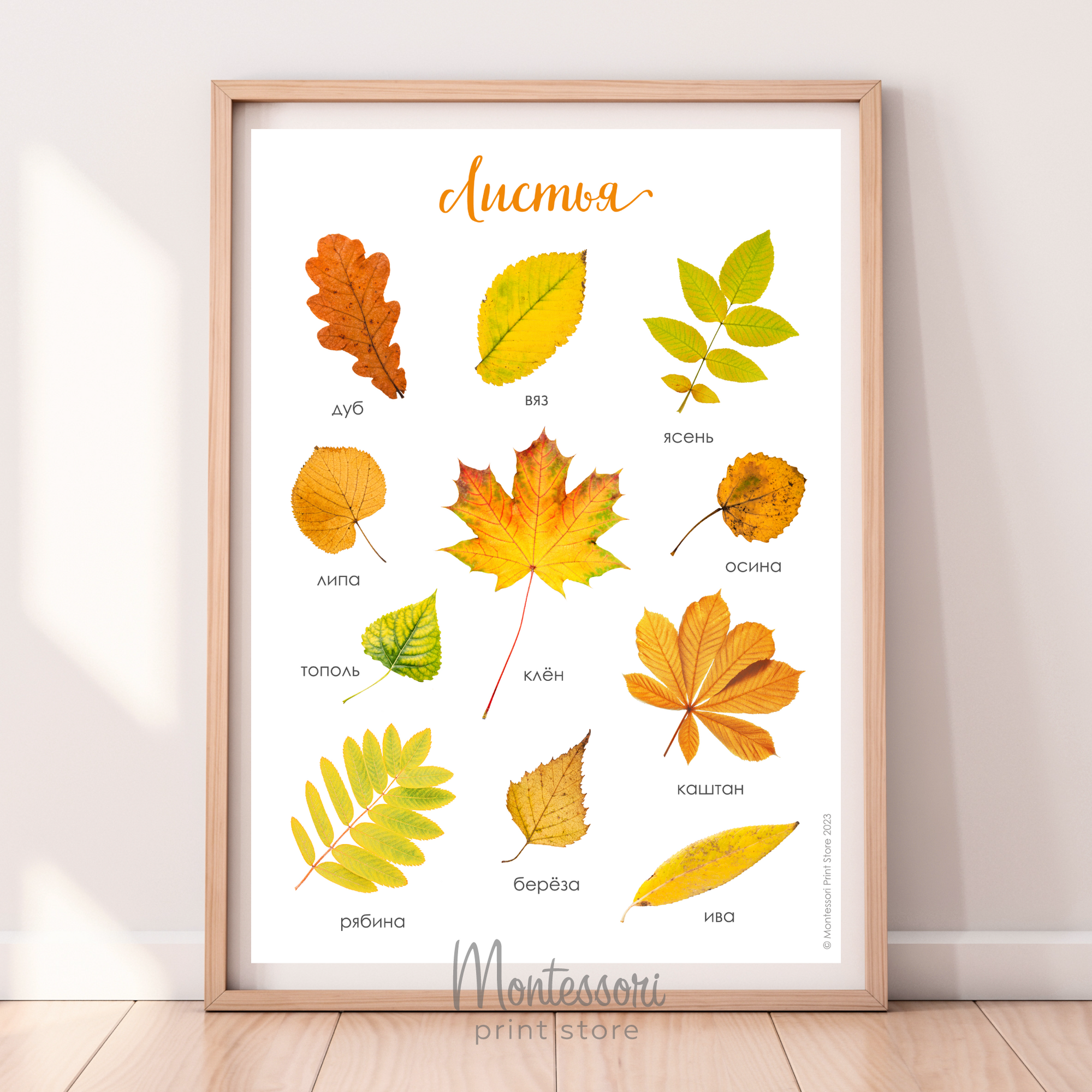 Постер Листья - купить и скачать
