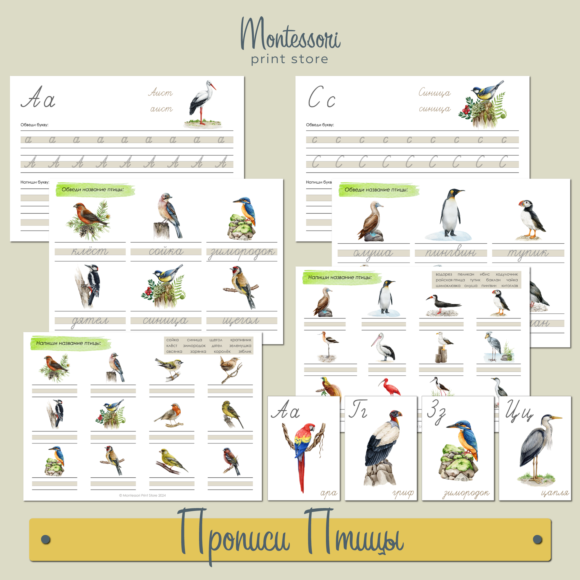 Прописи букв и слов  Птицы - прописи Монтессори купить и скачать