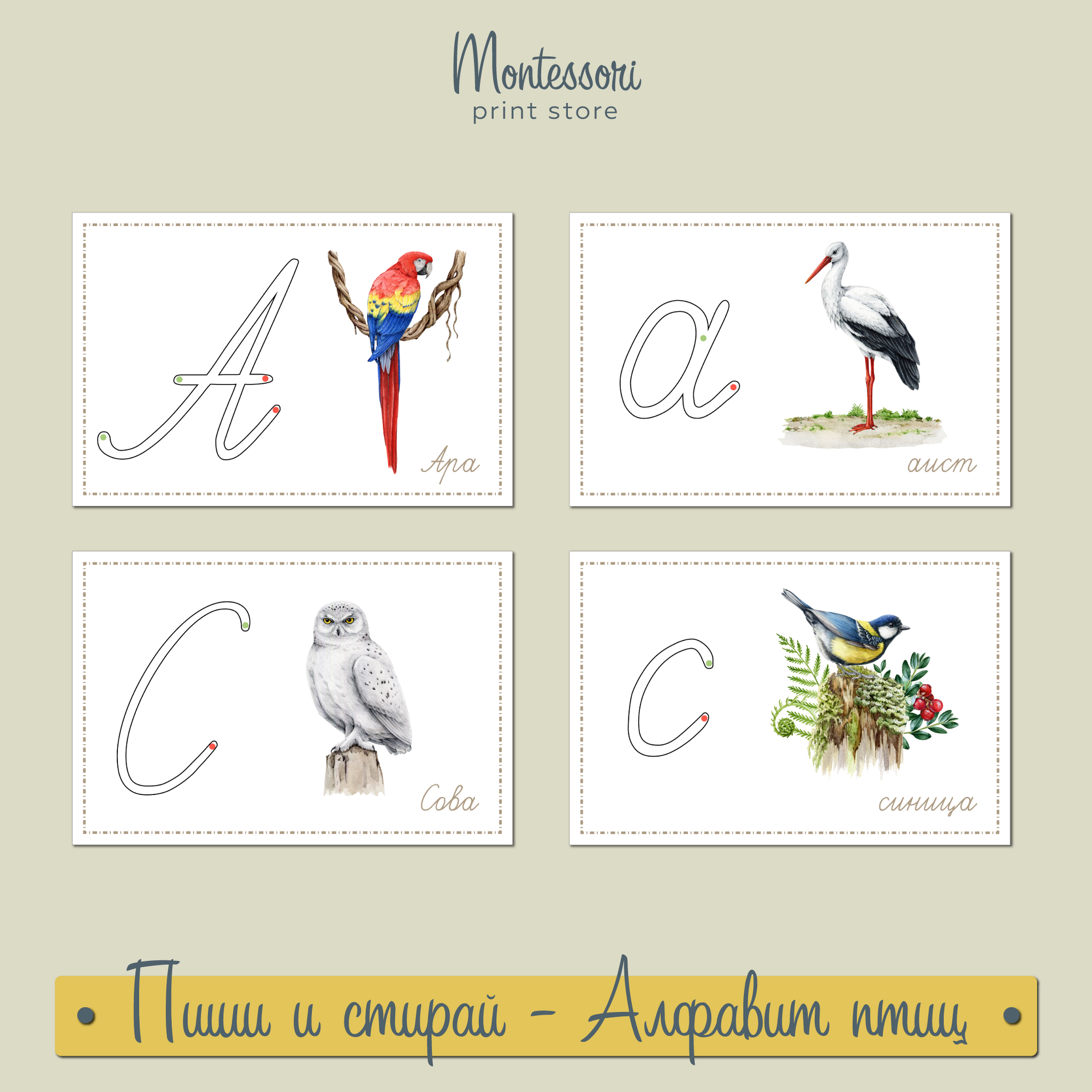 Прописные буквы Монтессори - тренажер пиши и стирай Птицы купить и скачать