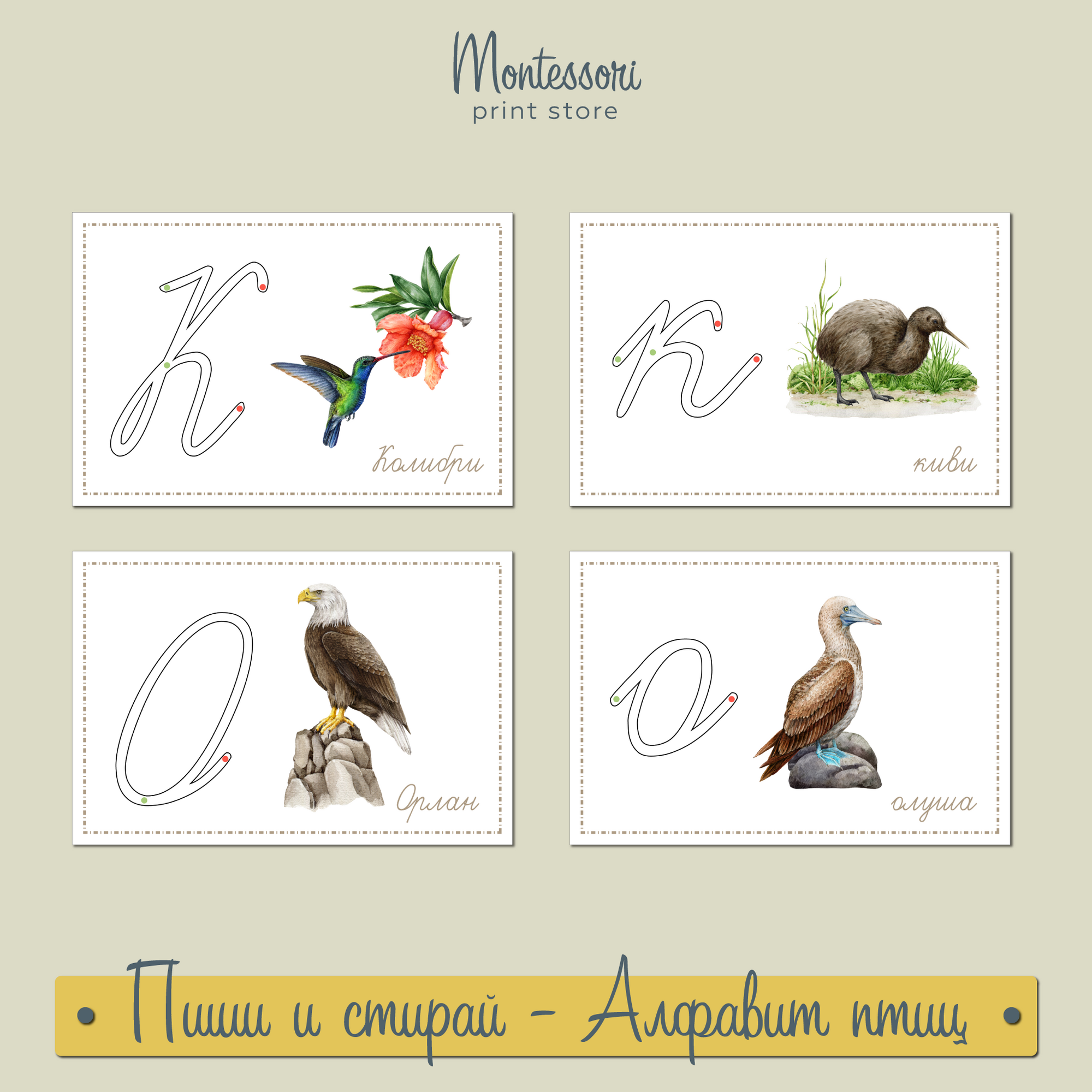 Прописные буквы Монтессори - тренажер пиши и стирай Птицы купить и скачать