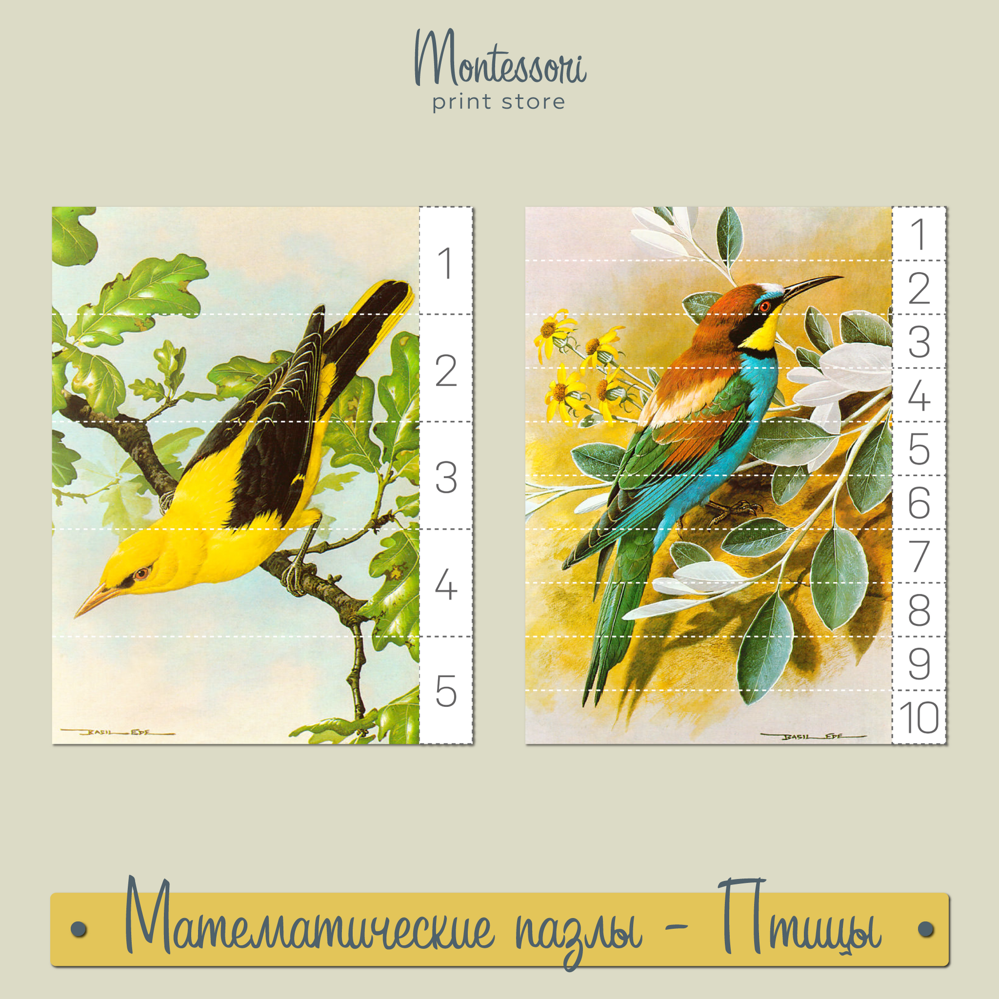 Базиль Эде (Basil Ede) Птицы - математические пазлы скачать бесплатно