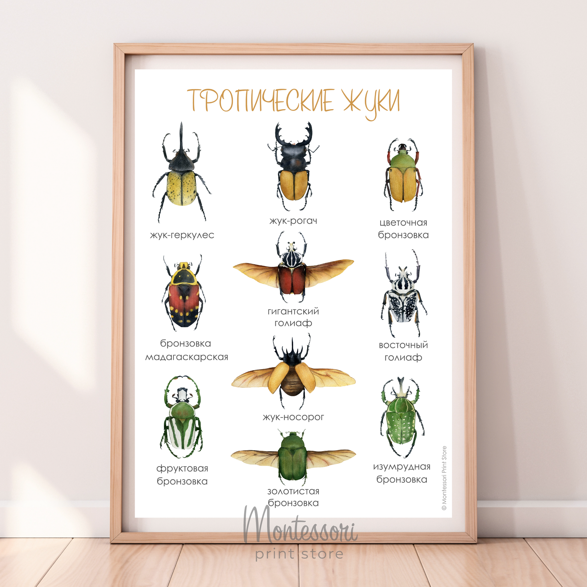 Постер Тропические жуки - электронный постер купить и скачать