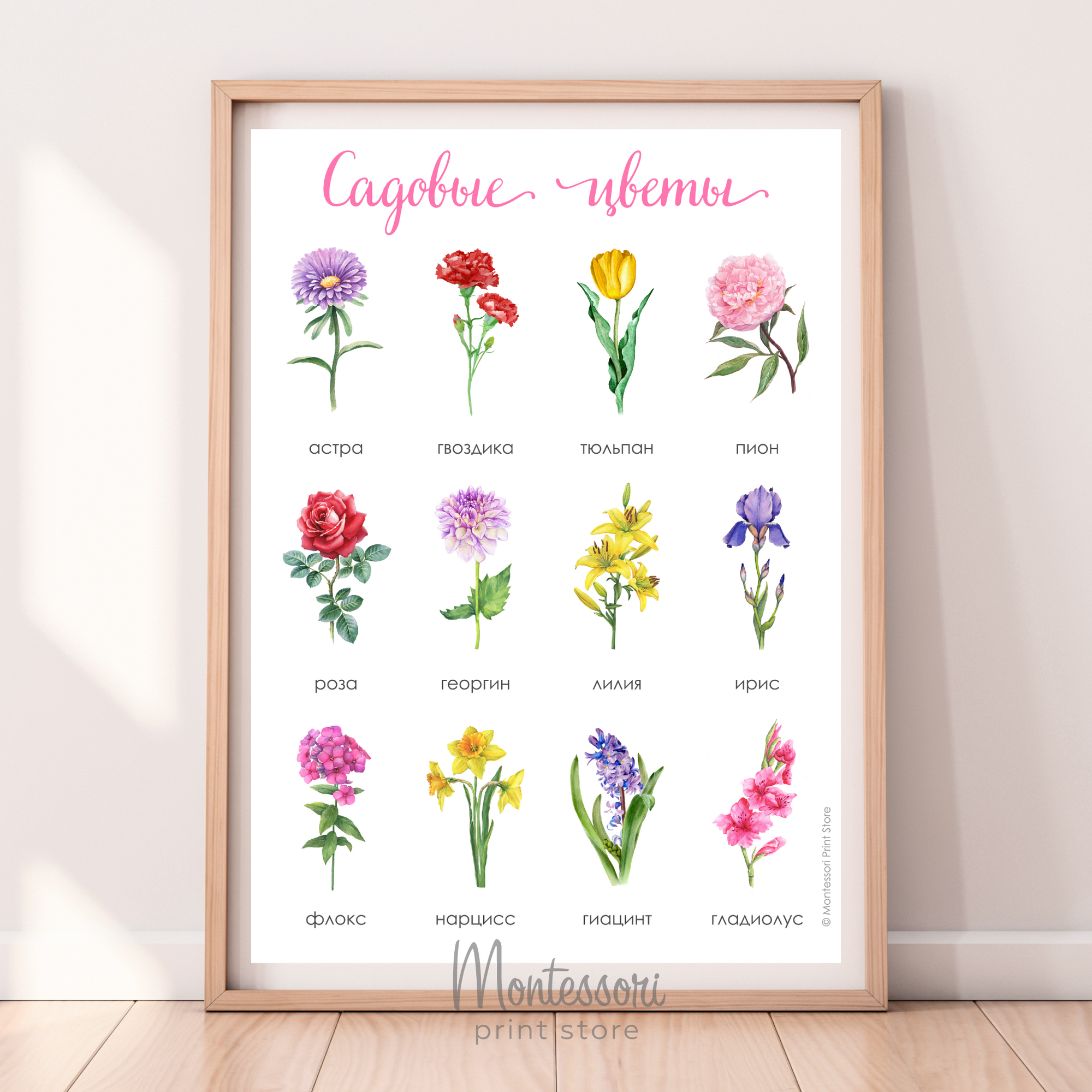 Постер Садовые цветы - электронный постер купить и скачать