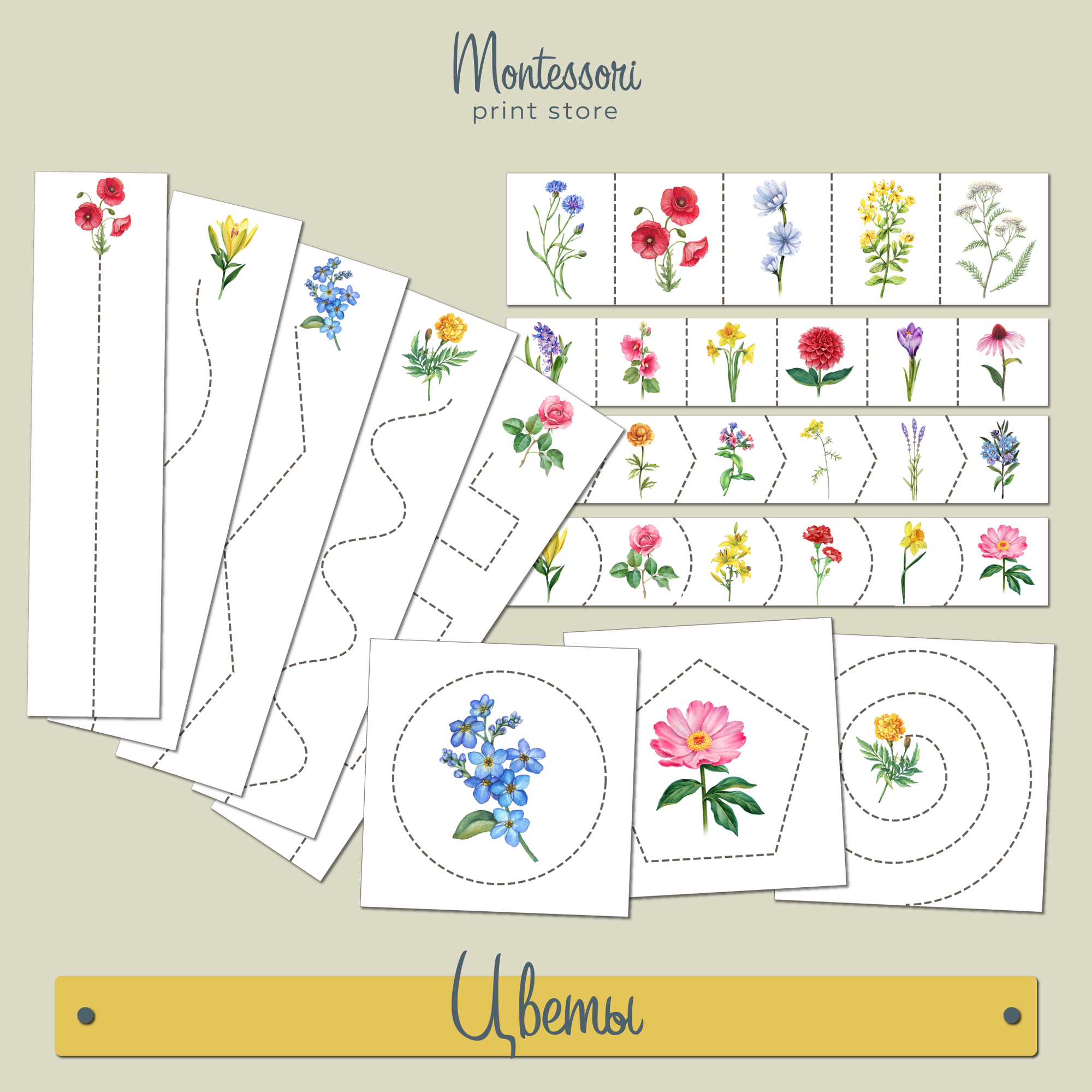 Полоски для вырезания Цветы - Вырезание Монтессори купить и скачать