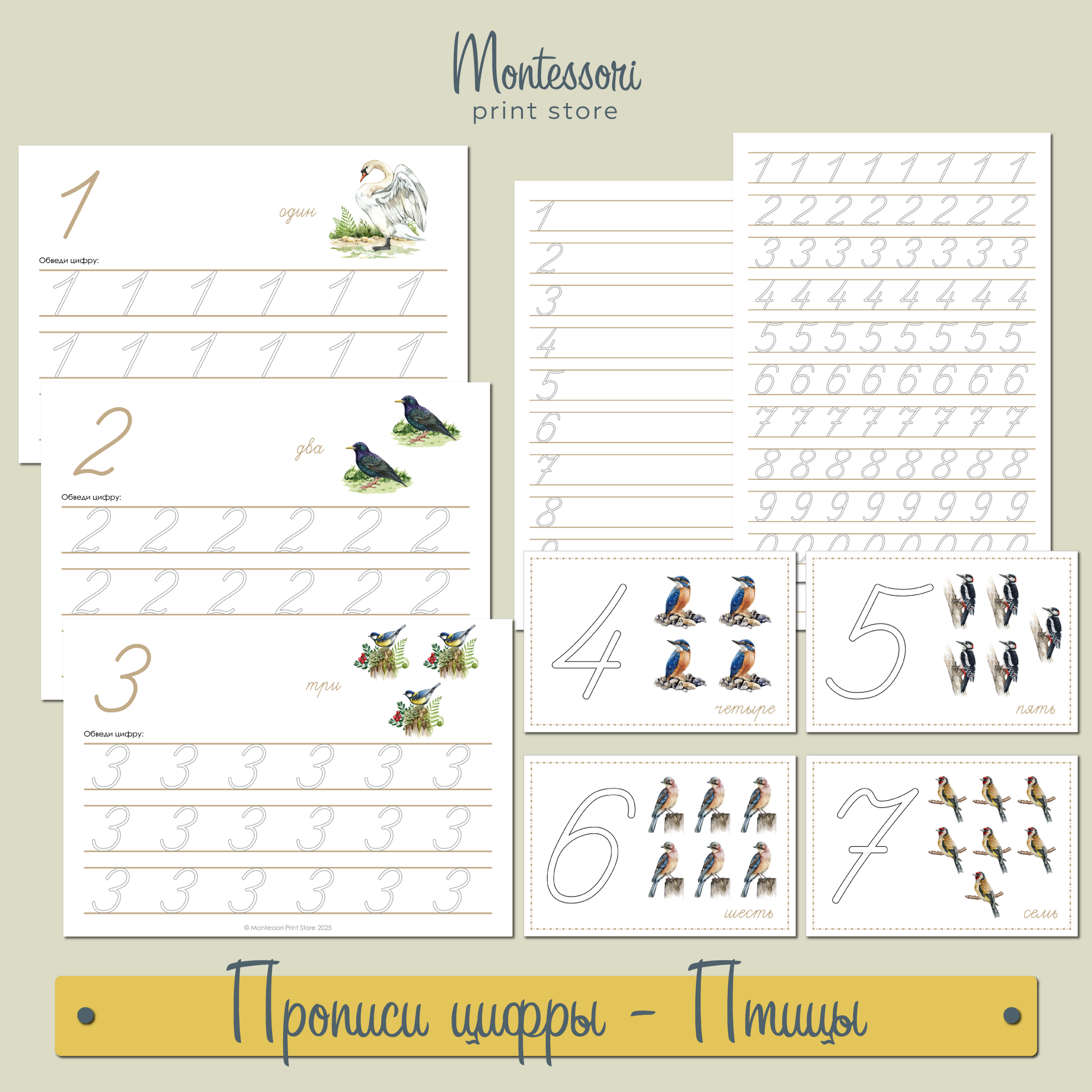 ПТИЦЫ - ПРОПИСИ ЦИФР И ТРЕНАЖЁР "ПИШИ И СТИРАЙ" купить и скачать