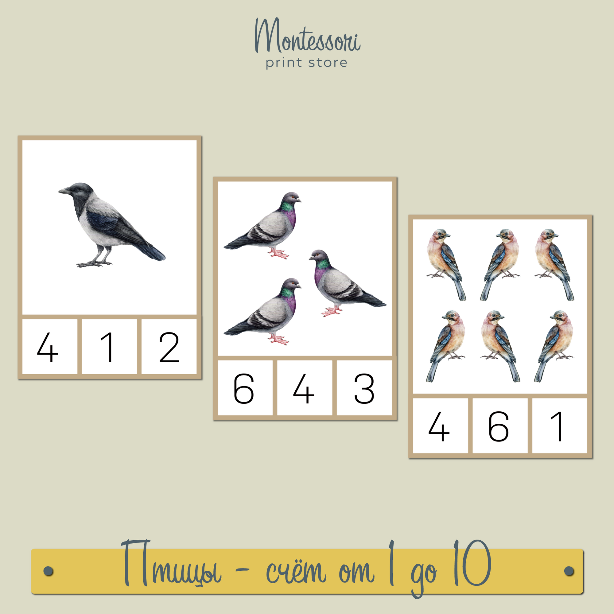 Птицы счет от 1 до 10 - Математика Монтессори купить и скачать купить и скачать