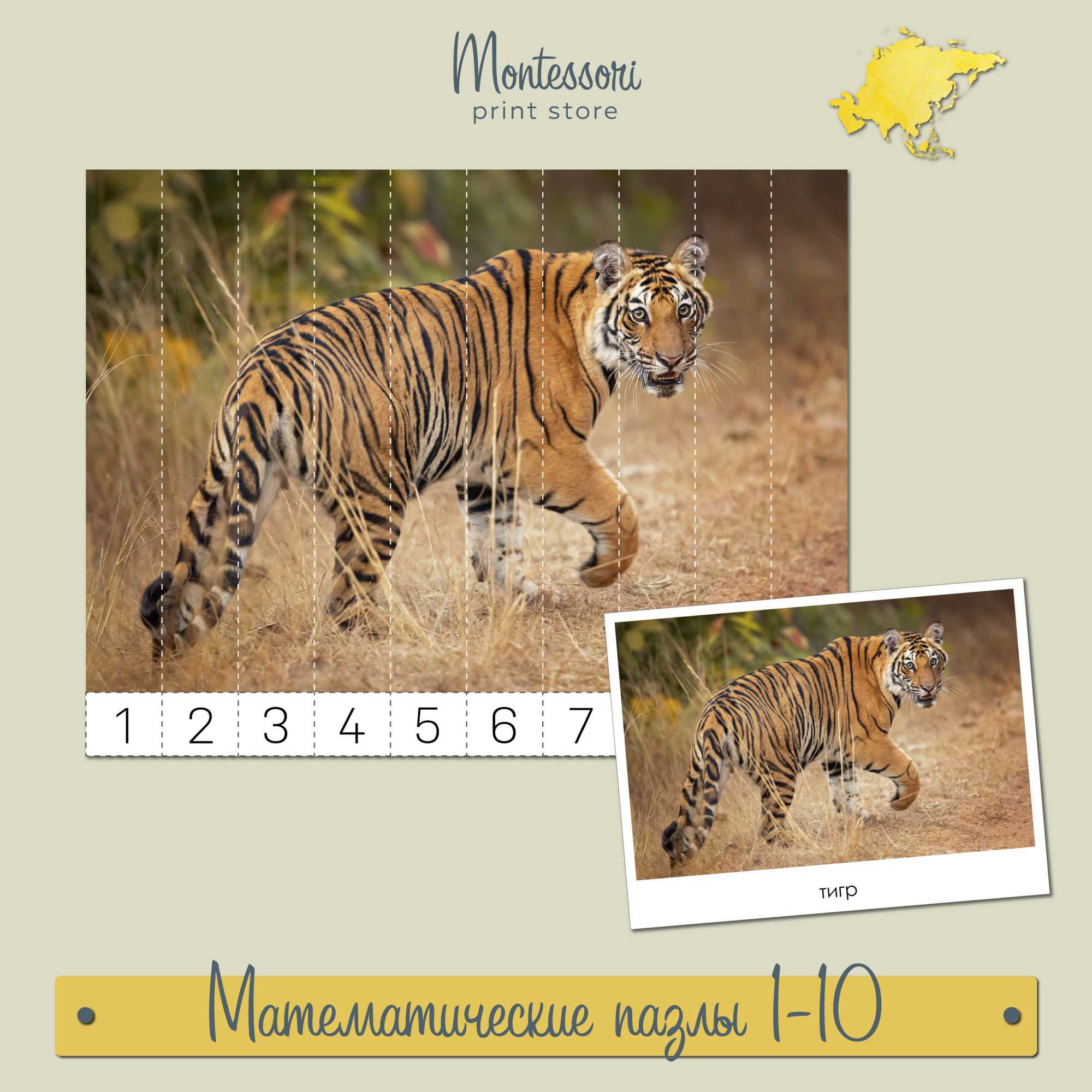 Животные Азии -  Математические пазлы 1-10 купить и скачать