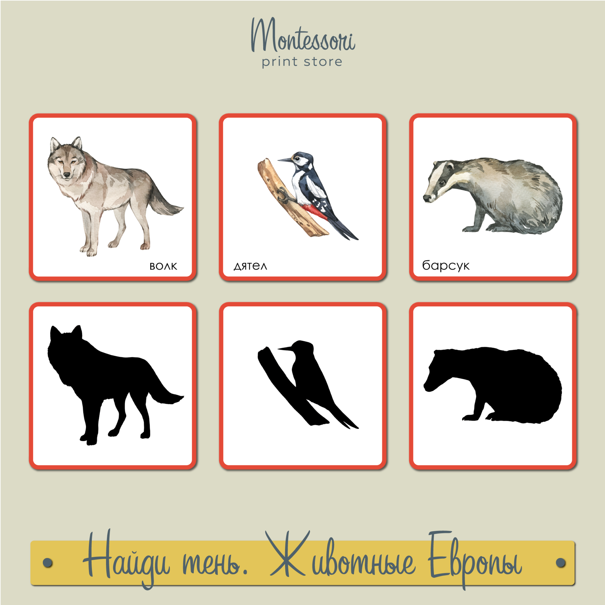 Найди тень Животные Европы - карточки Монтессори купить и скачать