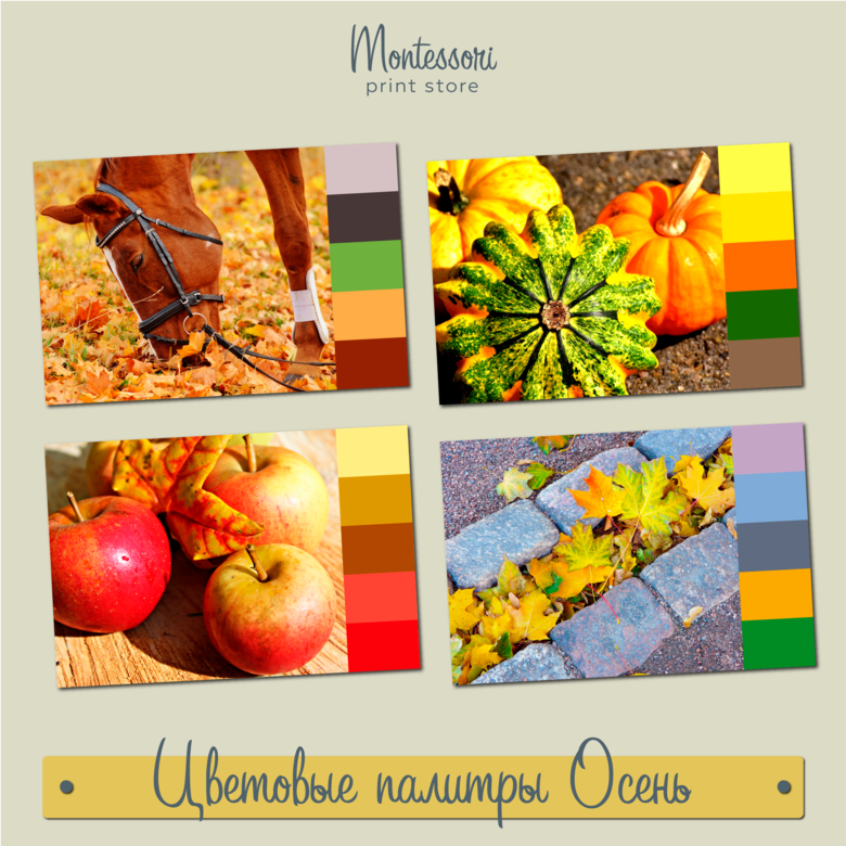 Цветовые палитры Осень - карточки Монтессори купить, скачать