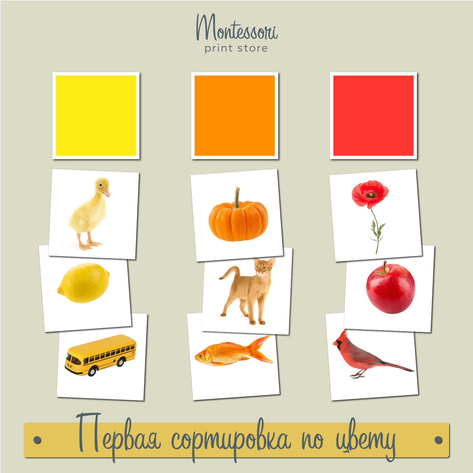 ПЕРВАЯ СОРТИРОВКА ПО ЦВЕТУ