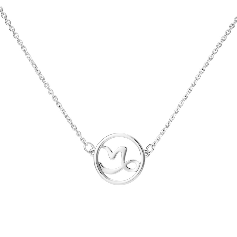 Подвеска знак зодиака Козерог