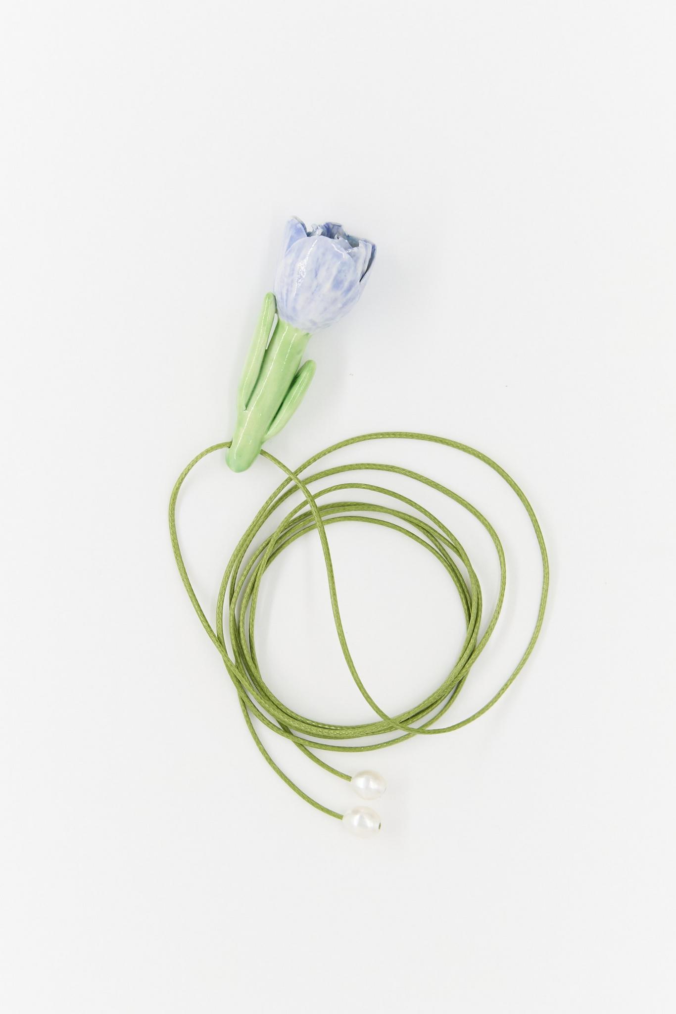 Tulipe