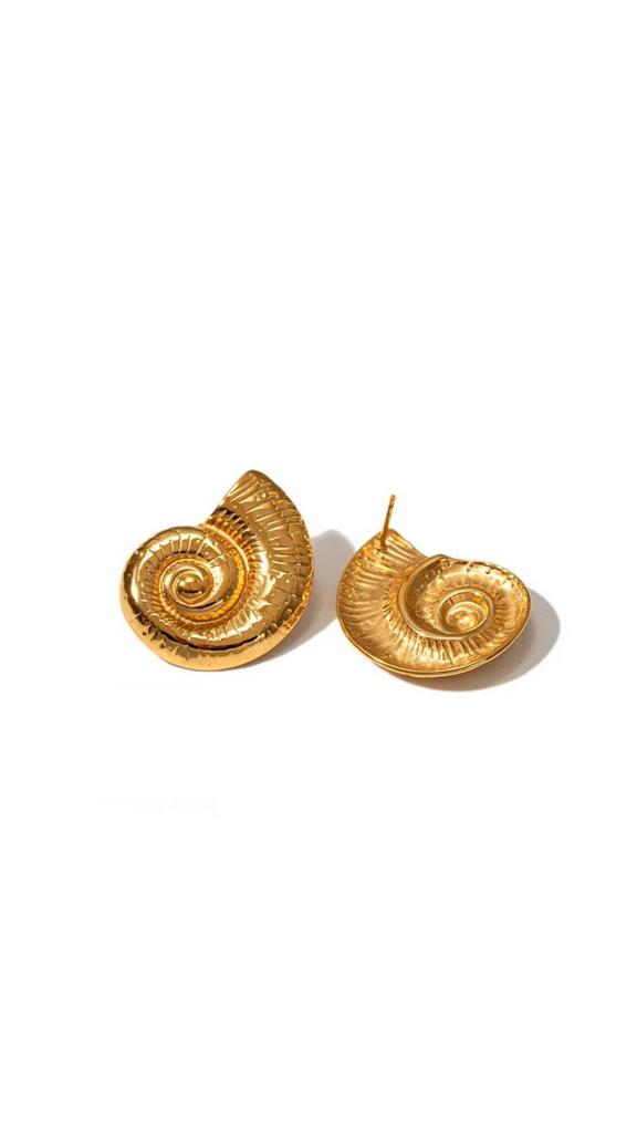 Раковины Sea Shell