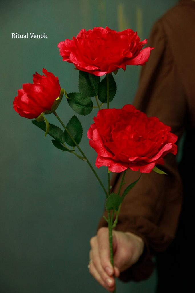 Пионы " В оттенке Малина"