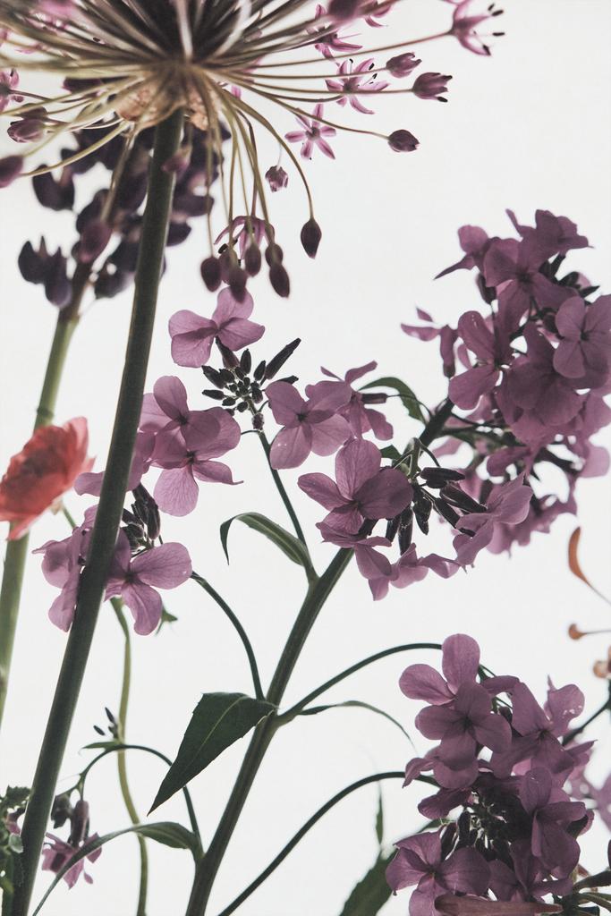 БУКЕТ НЕВЕСТЫ