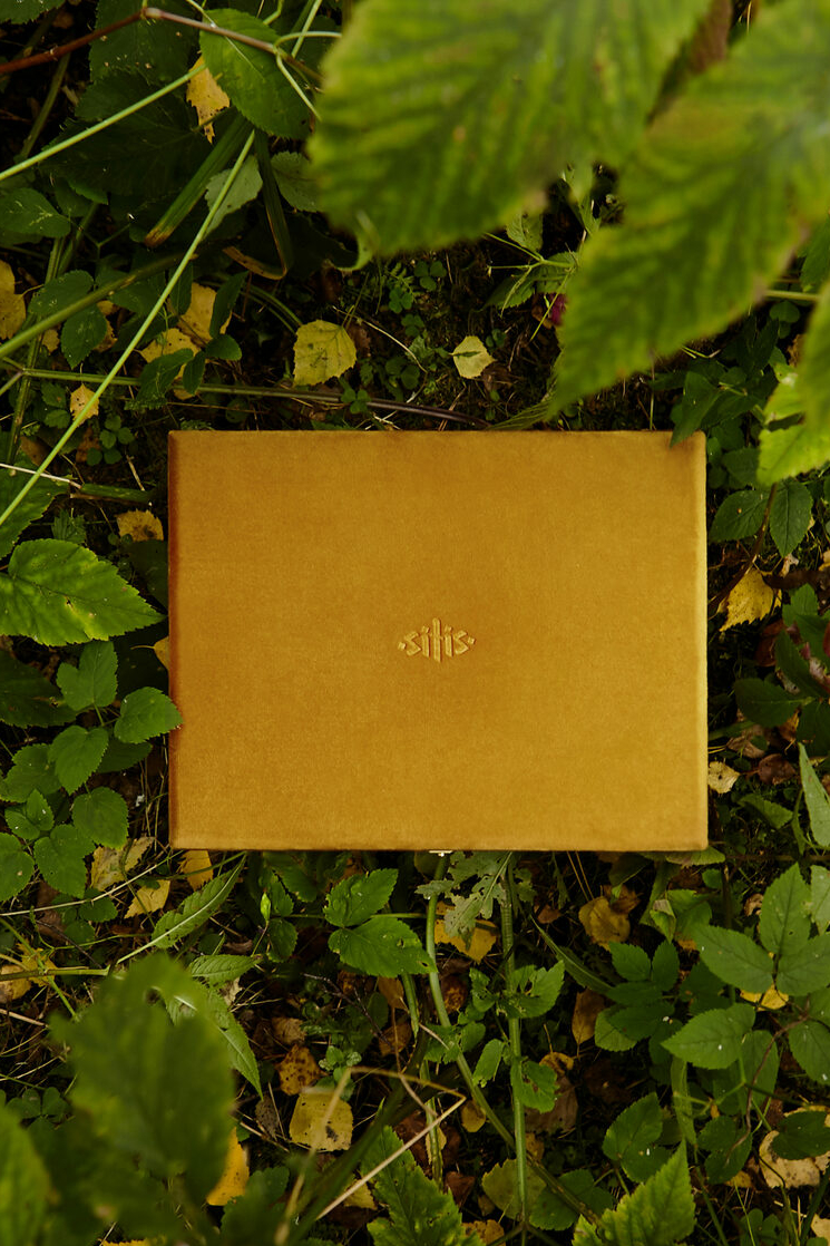 SITIS Шкатулка для украшений Mustard, одноуровневая