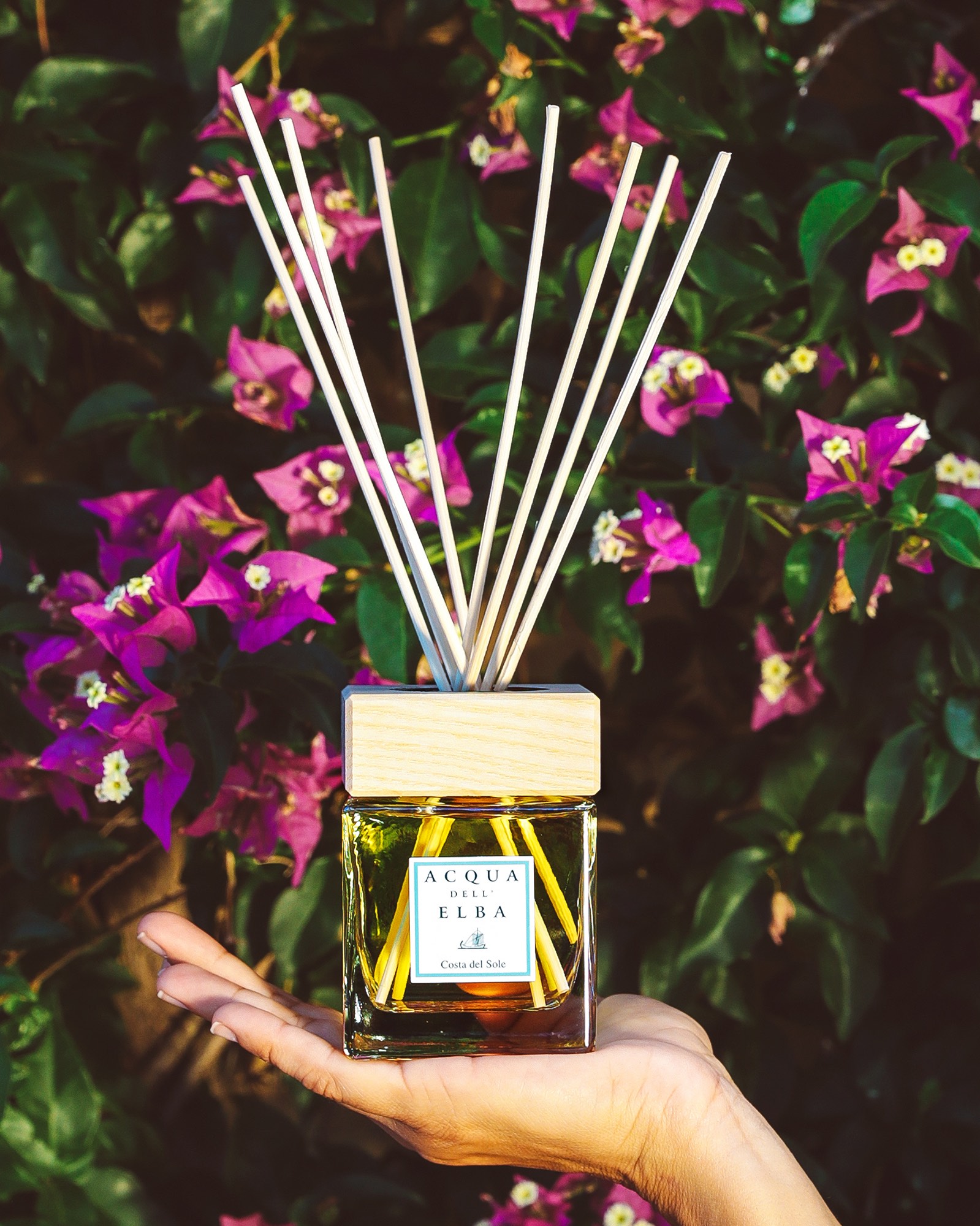 ACQUA dell’ELBA Диффузор Costa del Sole