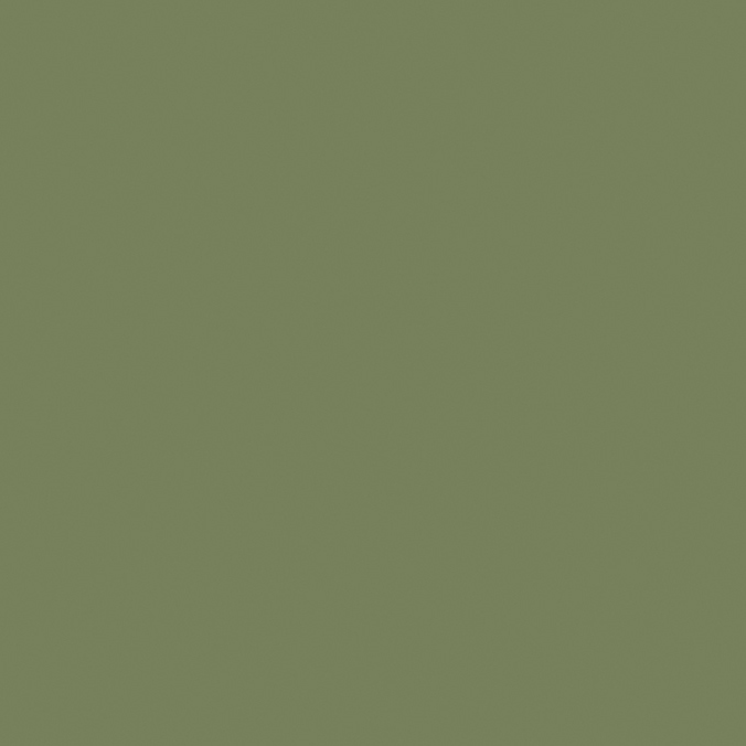 Краска Little Greene цвет 80 - Sage Green