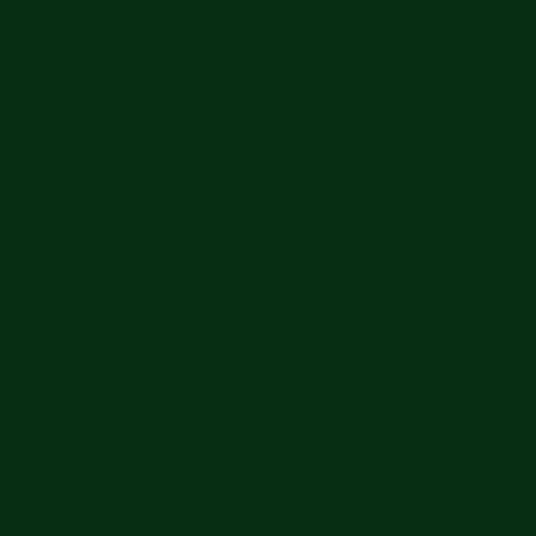 Краска Little Greene цвет 88 - Dark Brunswick Green