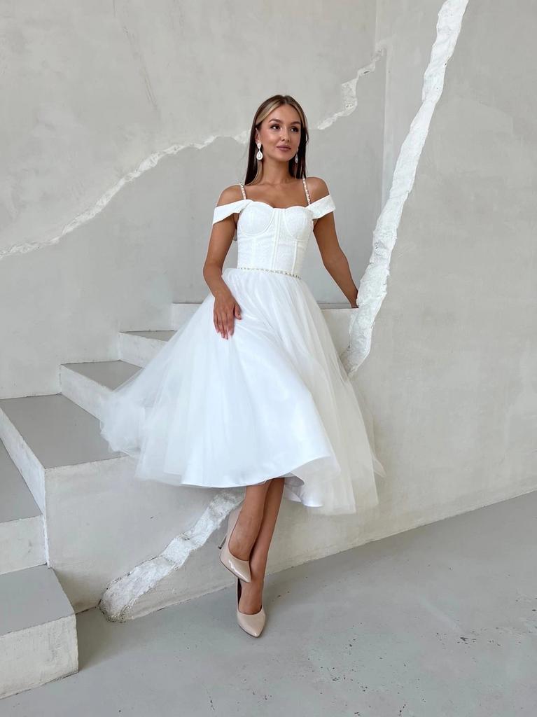 Модель Трикс