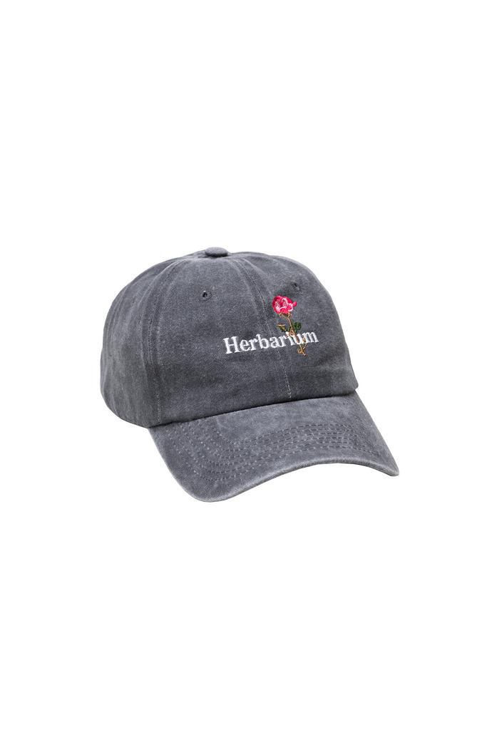 Кепка Гербарий Роза серая