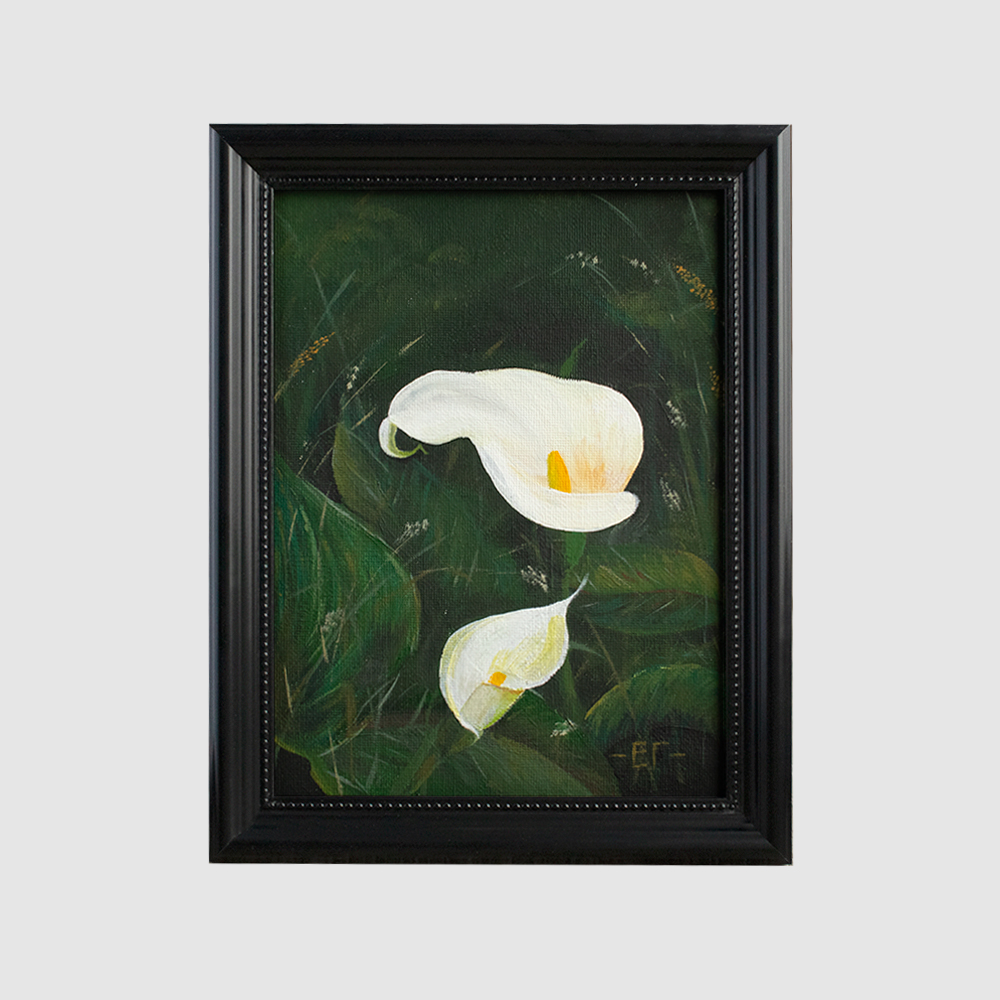 калла цветок живопись