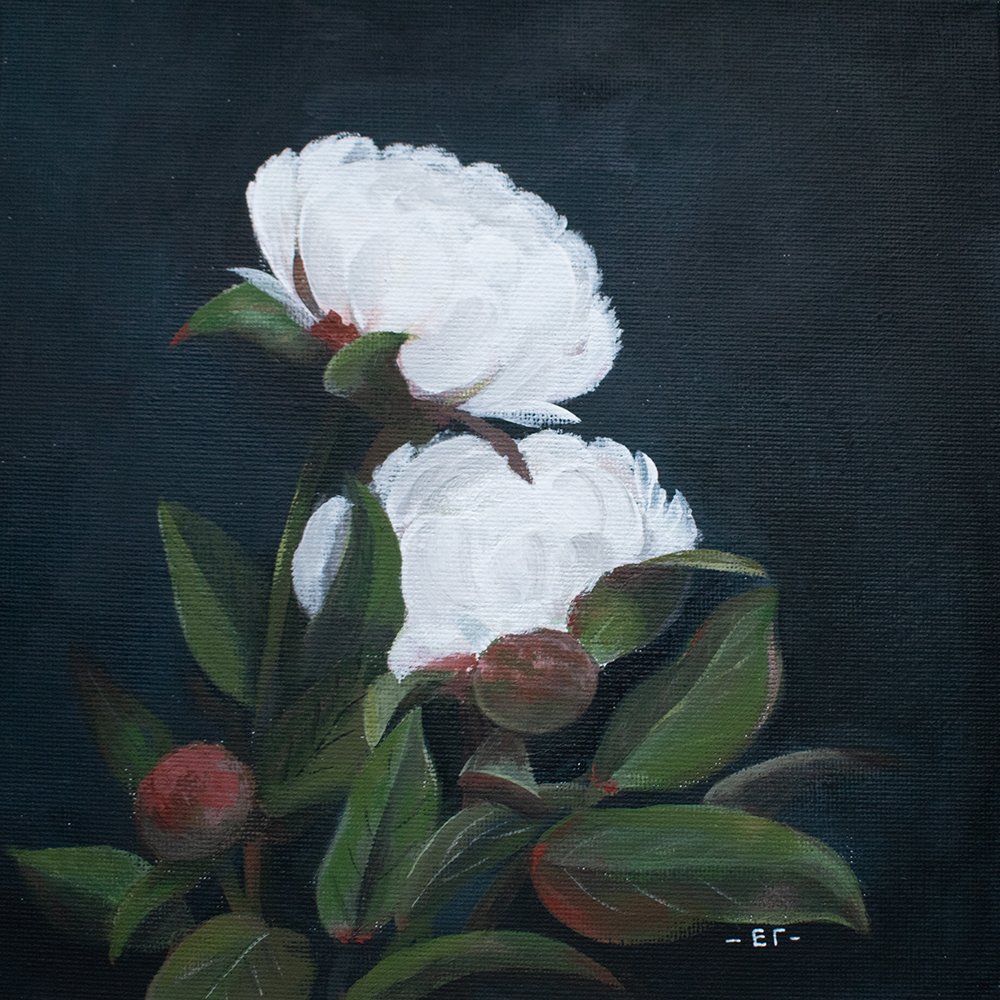 картина пионы елена гурьева