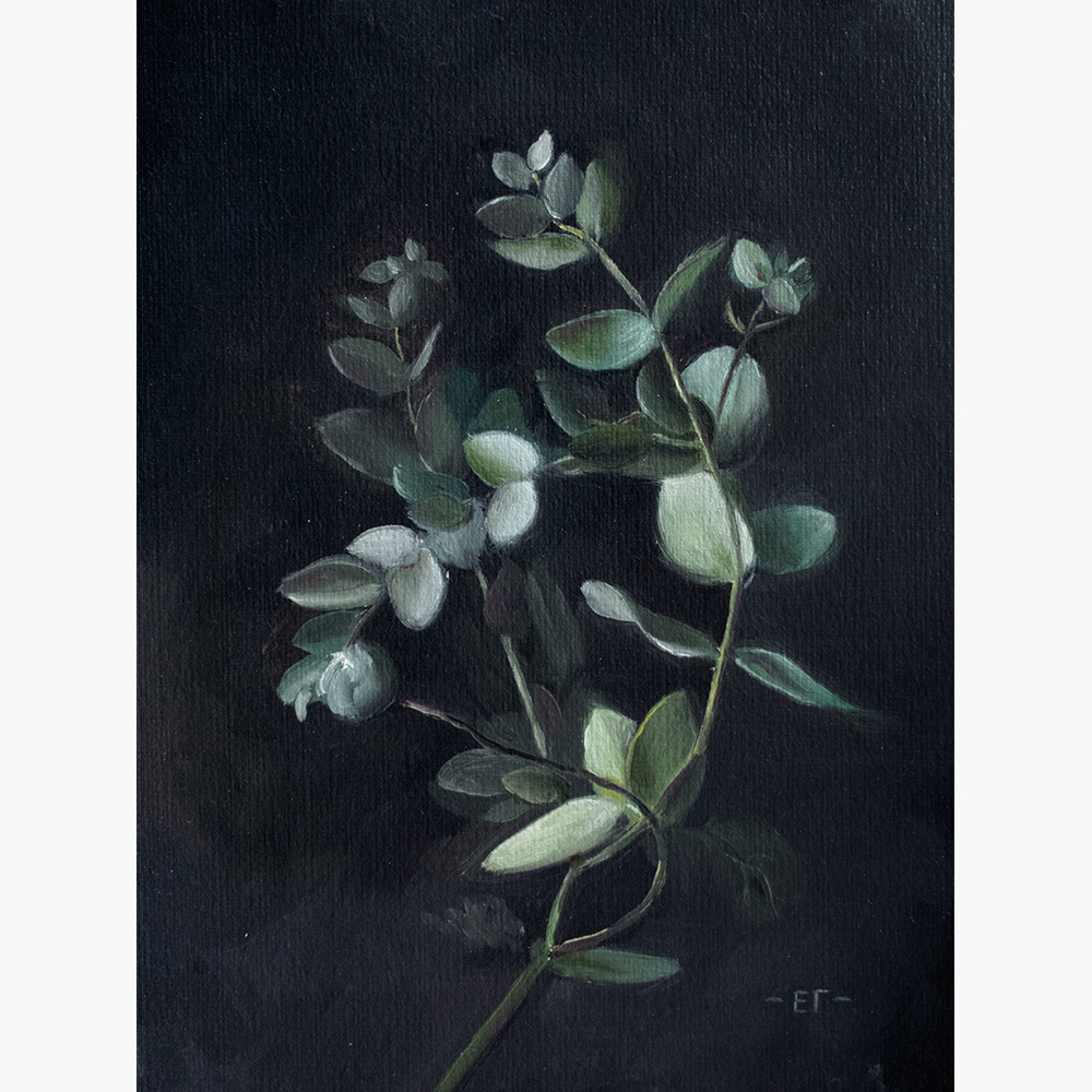 картина эвкалипт елена гурьева