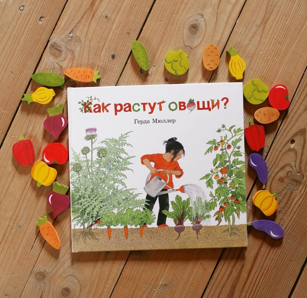 Как растут овощи