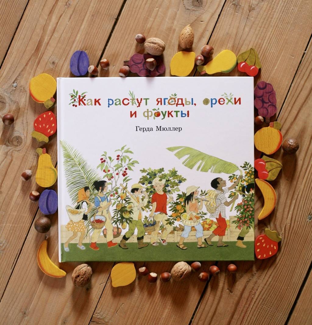 Как растут ягоды, орехи и фрукты