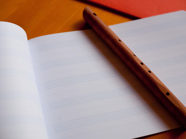 Тетрадь музыкальная, 30*21см, горизонтальная