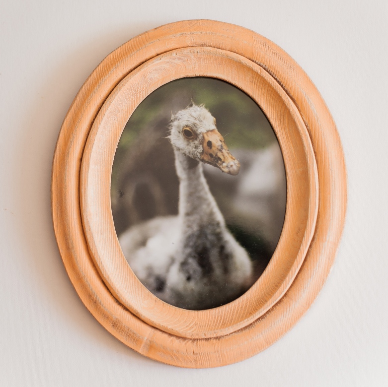 Овальная рыжая