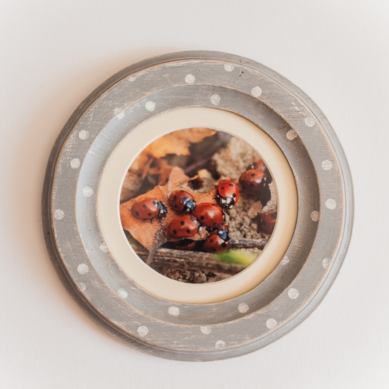 Круглая в горошек