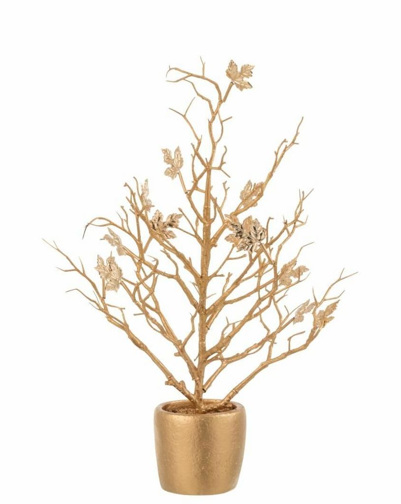 Золотое дерево в кашпо