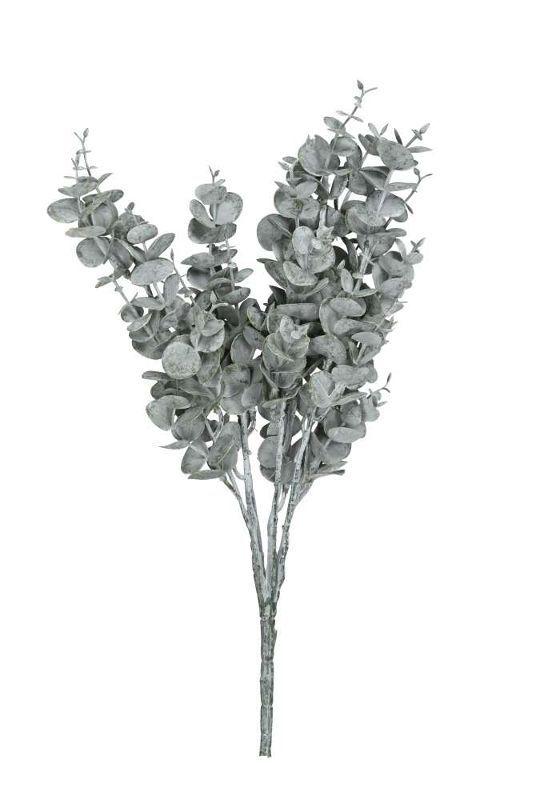 Эвкалипт 40 см