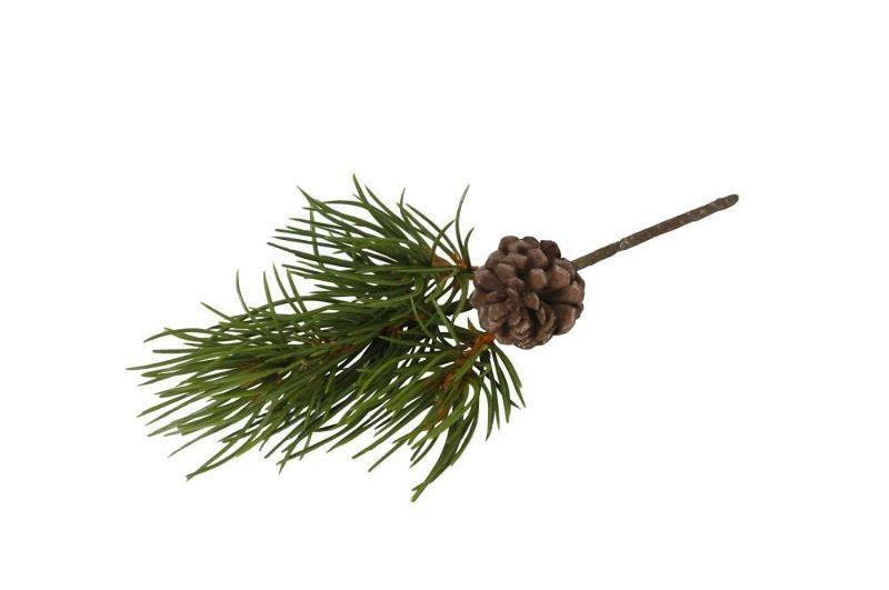 Ветка сосны 23 см