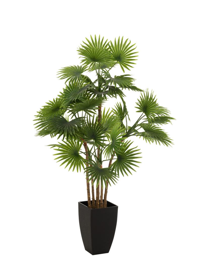 Пальма в кашпо