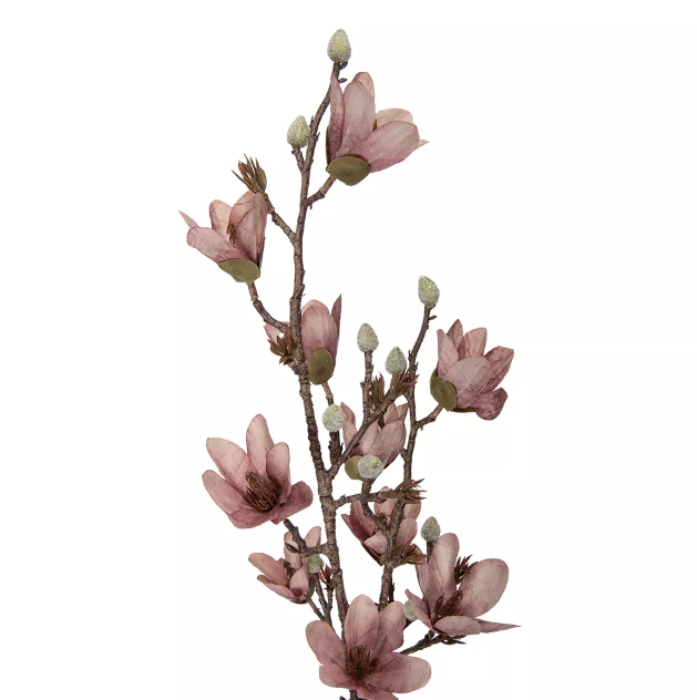 Ветка розовой магнолии