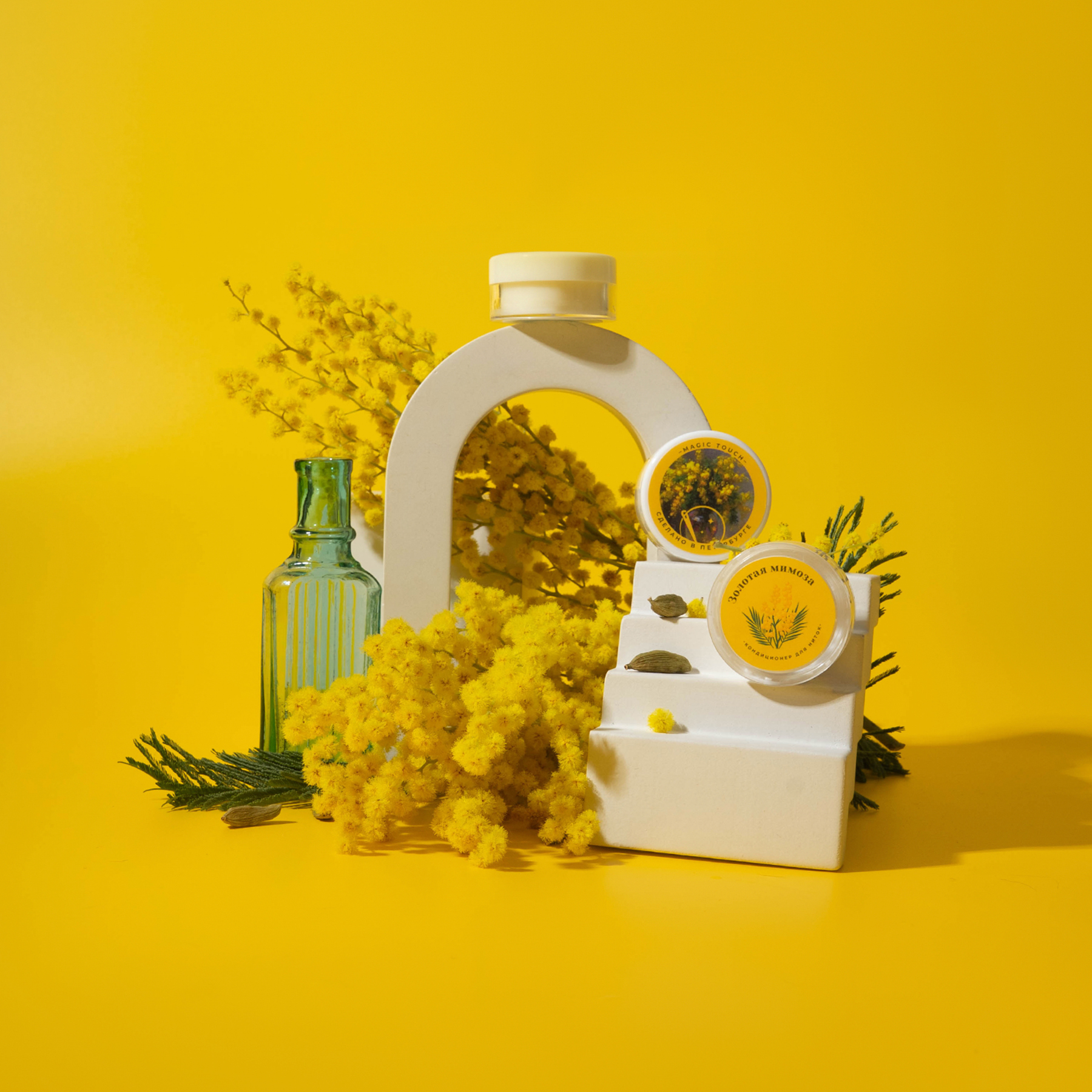 Золотая мимоза