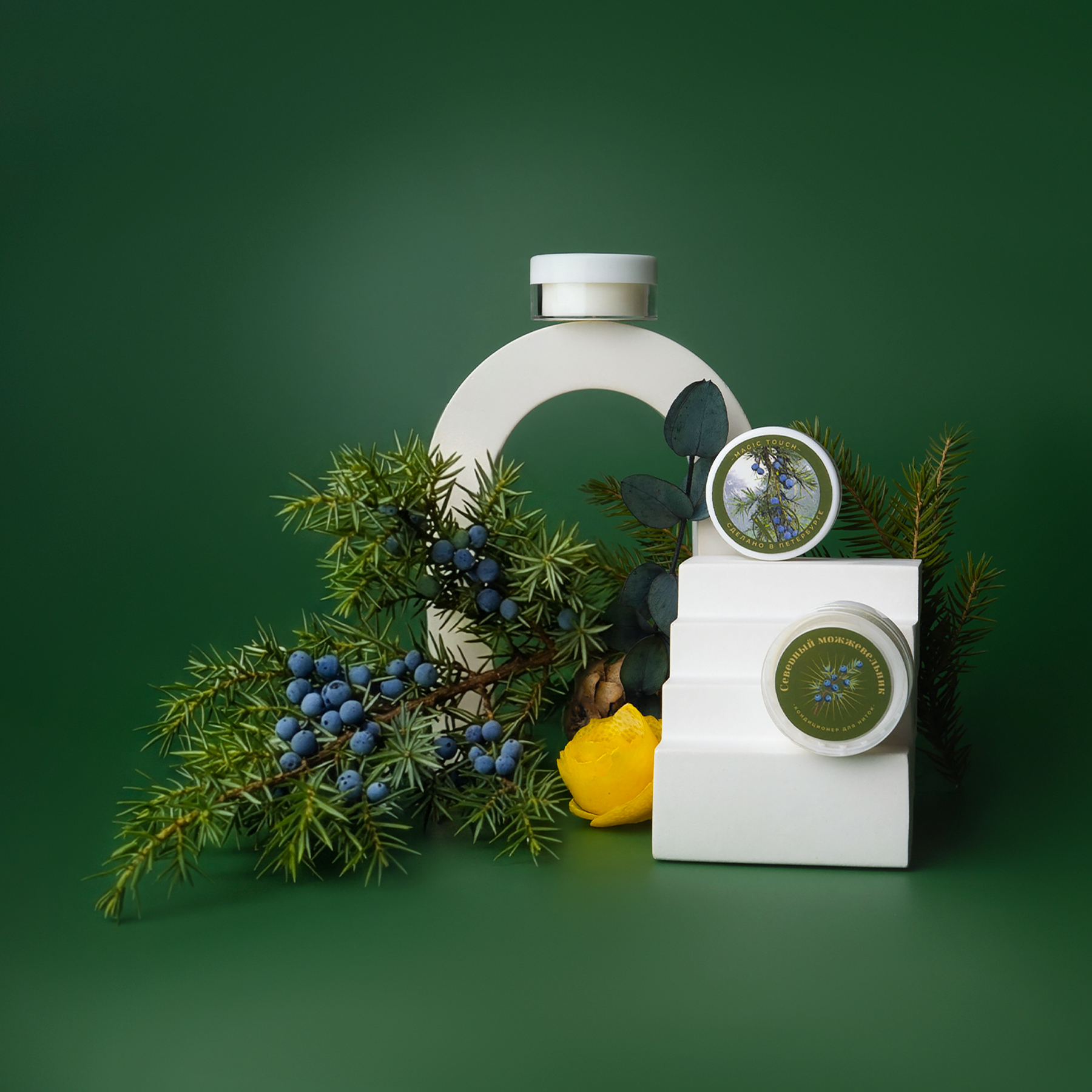 Северный можжевельник